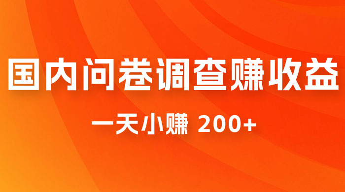 国内问卷调查赚收益，一天小赚 200+，小白随便上手 - KingHub