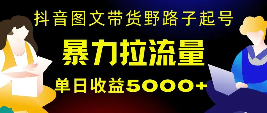 抖音图文带货暴力起号，单日收益 5000+，野路子玩法，简单易上手，一部手机即可 - KingHub