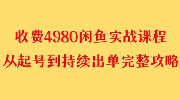 外面收费 4980 闲鱼无货源实战教程，单号 4000+ - KingHub