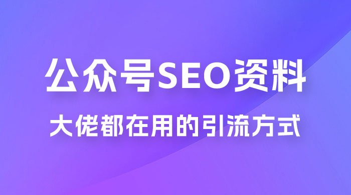 公众号 SEO 虚拟资料，操作简单，日入 500+，可批量操作 - KingHub