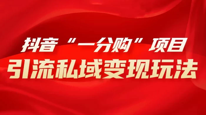 抖音“一分购”项目，引流私域变现玩法 - KingHub