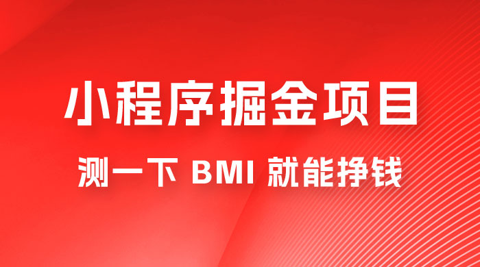 日入 300+ 的小程序掘金项目，测一下 BMI 就能挣钱 - KingHub