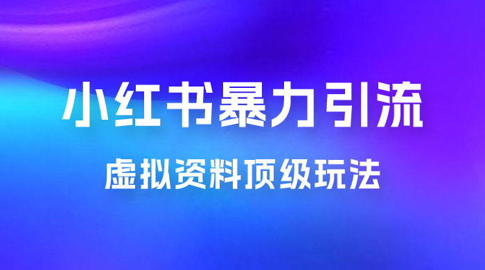 虚拟资料顶级玩法，小红书暴力引流，喂饭级教程零成本，利润任你定 - KingHub