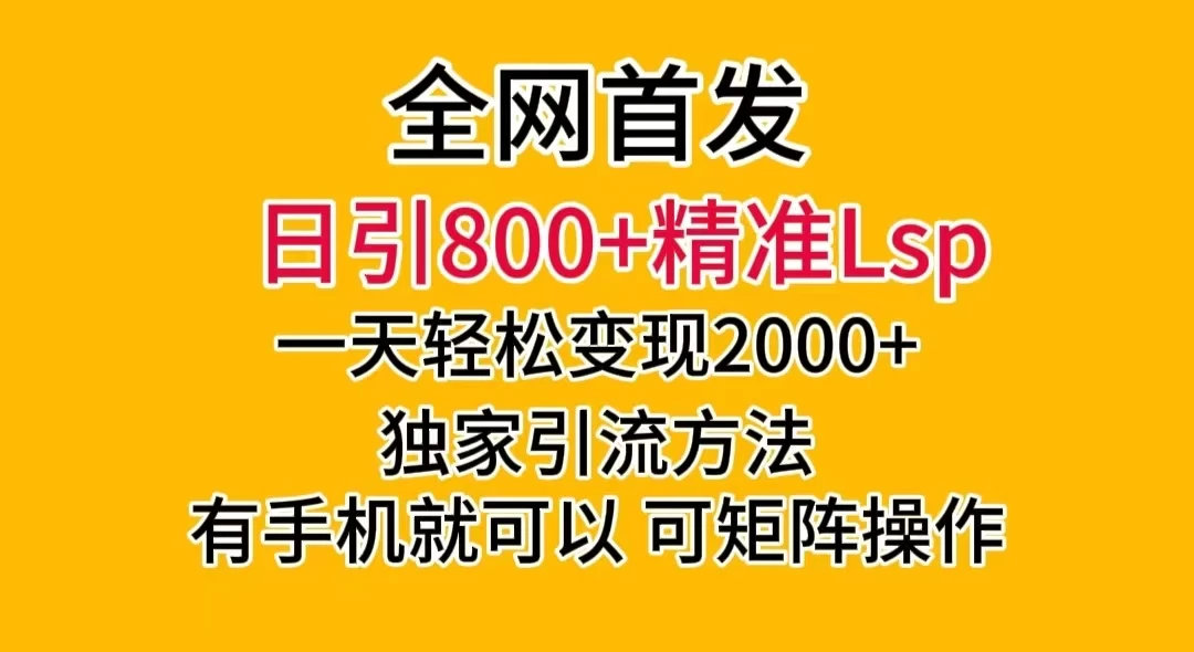 日引 800+ 精准老色批，一天变现 2000+，独家引流方法，可矩阵操作，月入 5W+ - KingHub