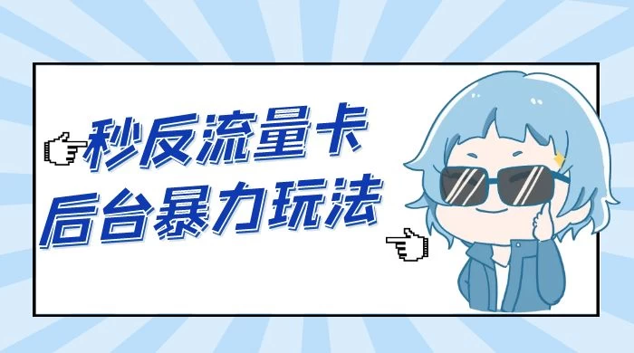 秒反流量卡后台暴力玩法 2.0，日赚三位数 - KingHub
