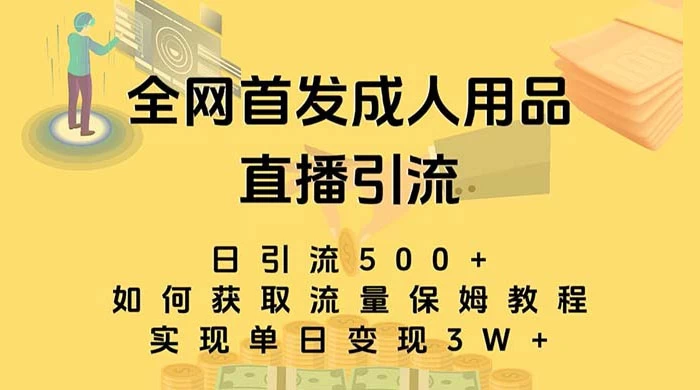 成人用品直播引流获客暴力玩法，单日引流500+，变现 3w+，保姆级教程 - KingHub