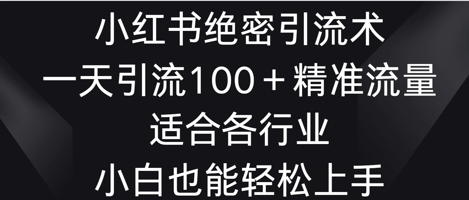 小红书绝密引流术，一天引流100＋精准流量，适合各个行业，小白也能轻松上手 - KingHub