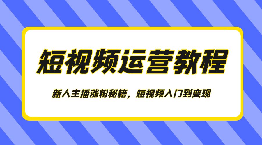 短视频运营教程：新人主播涨粉秘籍，短视频入门到变现 - KingHub