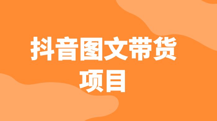 抖音图文带货项目：操作简单无门槛，适合小白 - KingHub