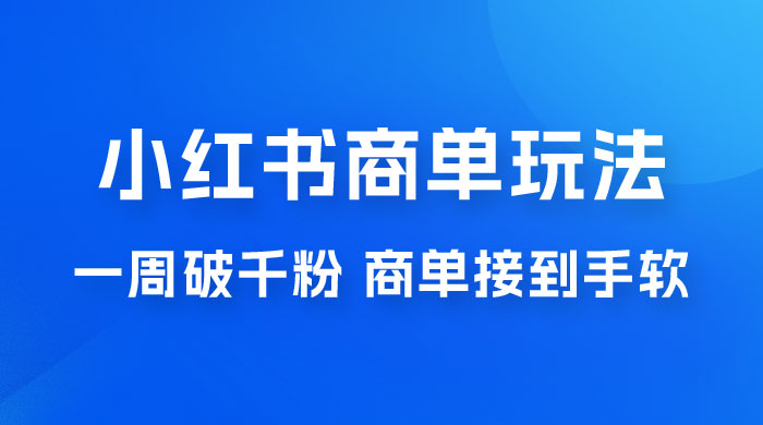 小红书商单蓝海玩法，一周破千粉，商单接到手软，一单 150-800 - KingHub