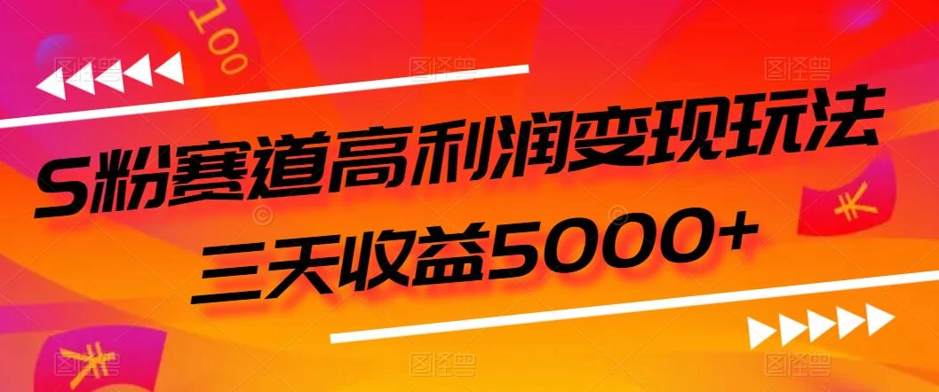 S粉赛道高利润变现玩法，三天收益5000+，从0到1实战教学，小白当天学会 - KingHub
